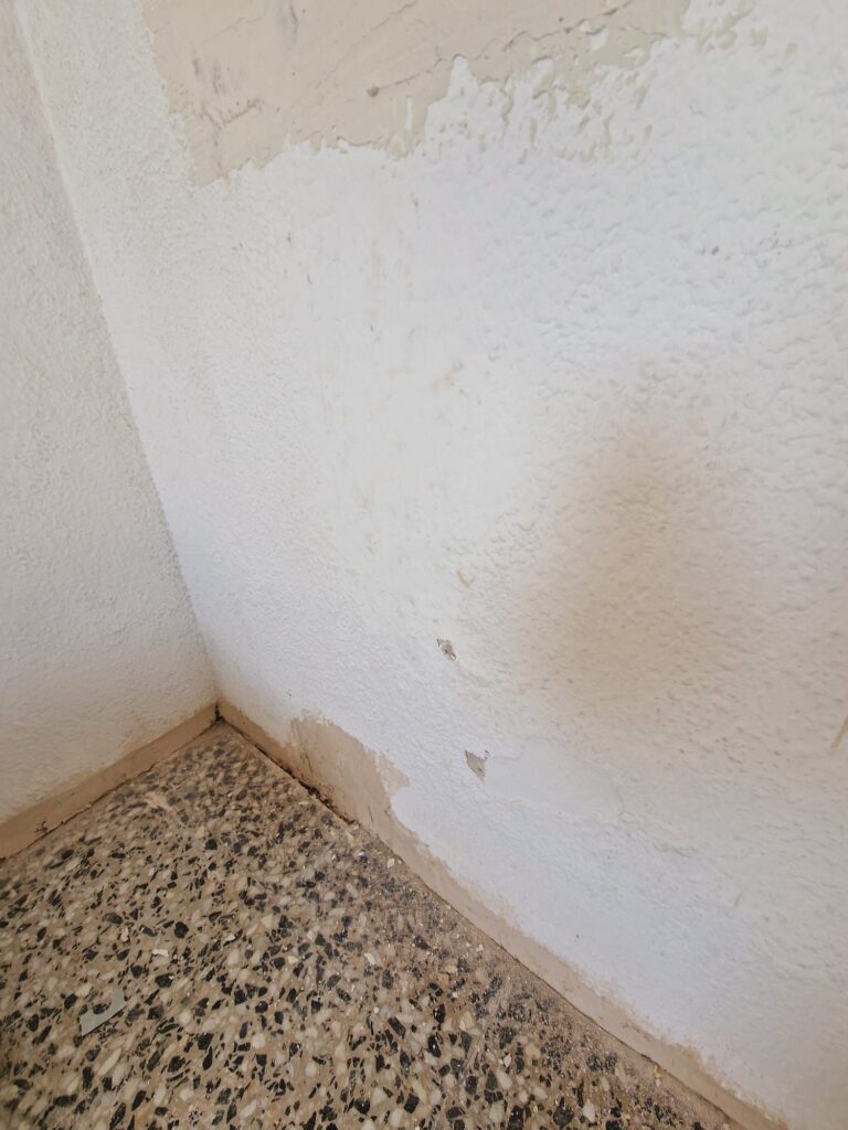 Alisado de paredes en Pleitas 